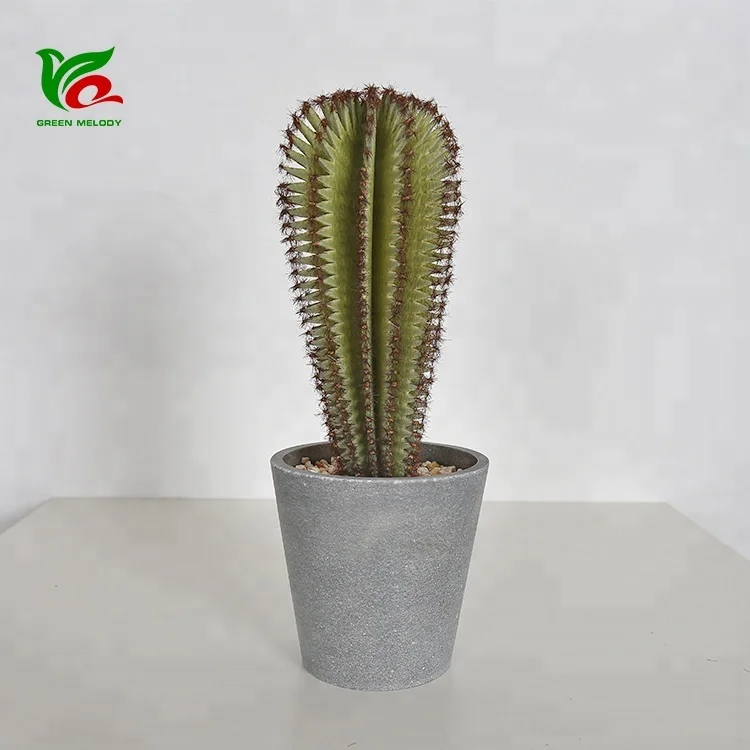 Soft Plastic 24cm Decorative Cactus Office Desk Ornament Baby