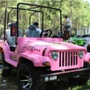 mini willys for adult 500cc 4x4 gas dune buggy