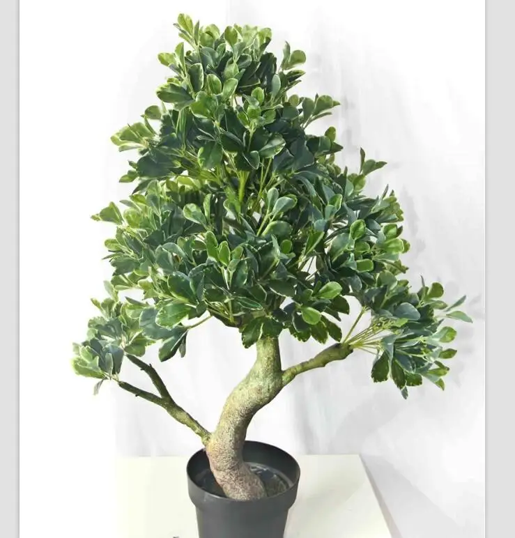 ホット盆栽 観賞用植物 樹木 あらゆる種類の人工植物 Buy 盆栽植物販売 人工盆栽 内部で飾られている盆栽の木 Product On Alibaba Com