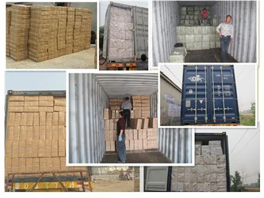 paste-pic-dp_uuid_aasqz