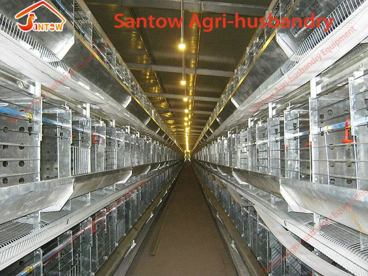 prefabricated chicken coop hen house for sale / metal wire mesh laying hen houses