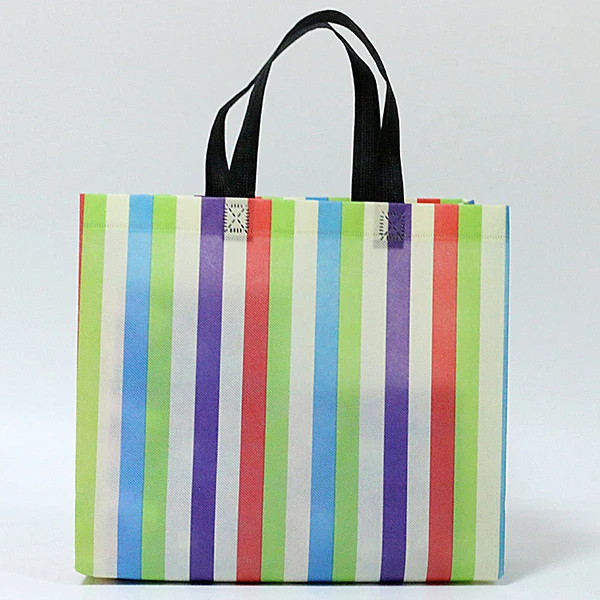 40Gsm Pp Nonwoven Fabric D Cut Shopping Bags Reusable Biodegradable Non-Woven Shopping Bag
