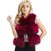 /product-detail/real-fur-vest-women-genuine-raccoon-fur-gilet-waistcoat-winter-new-fashion-3-rows-vest-60735404479.html