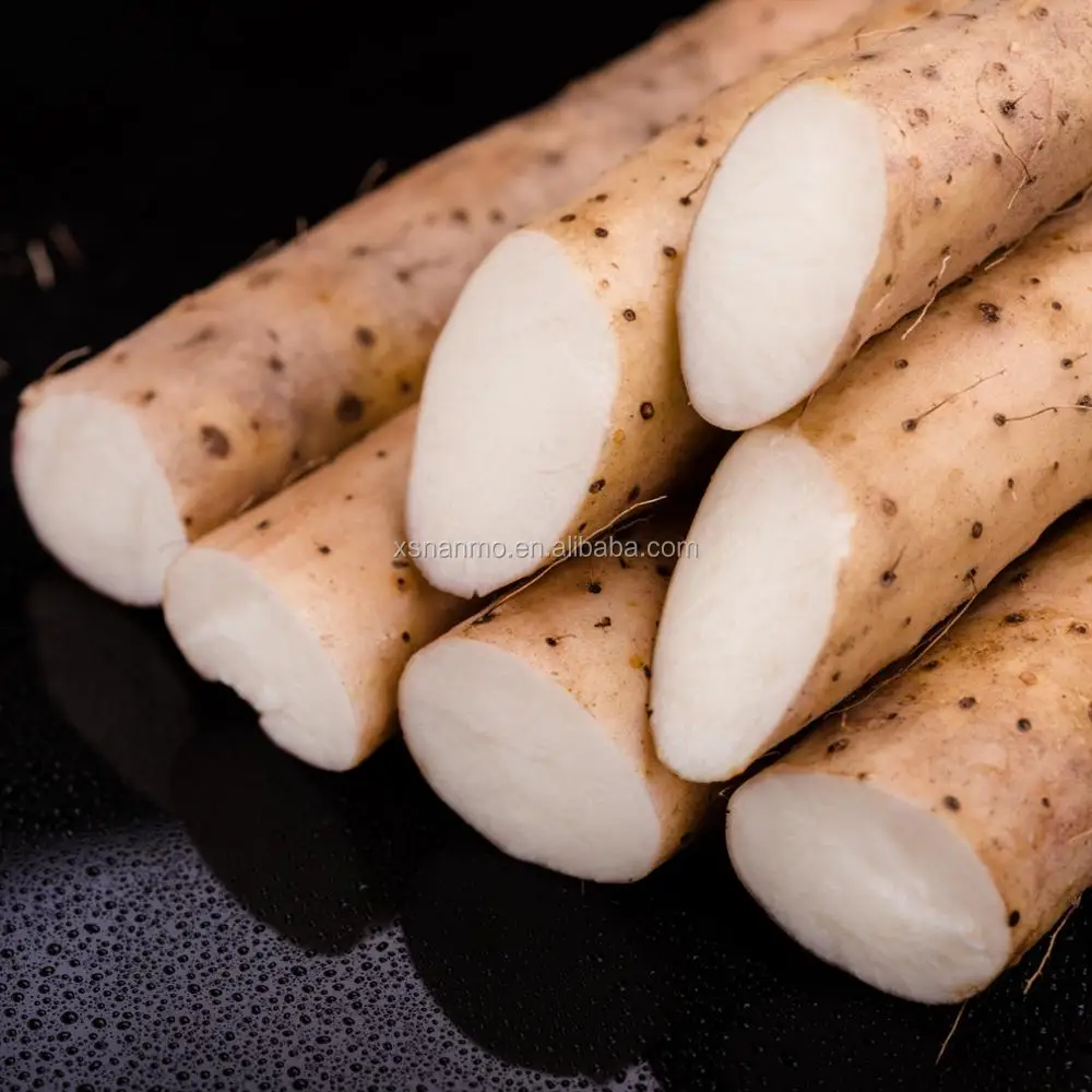 chinese dried herbs organic rhizoma dioscoreae/chinese yam