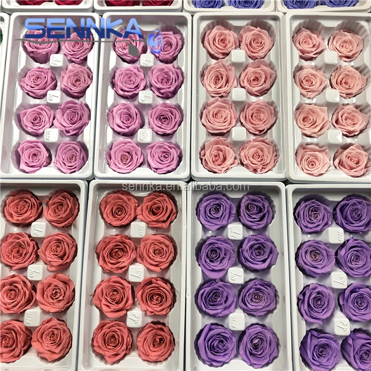 preserved rose 4-5 (58)