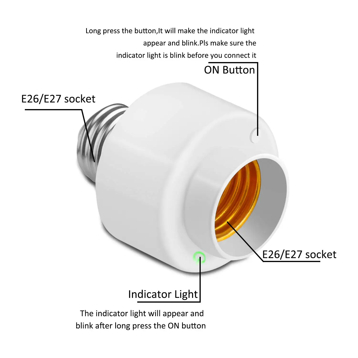 Dick In Light Socket