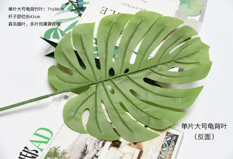 monstera (8).jpg