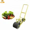 Grass seeds planting machine / automatic seed planting machine for vegetable ,onion ,carrot