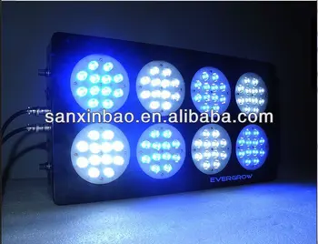 ecotech marine radion led
