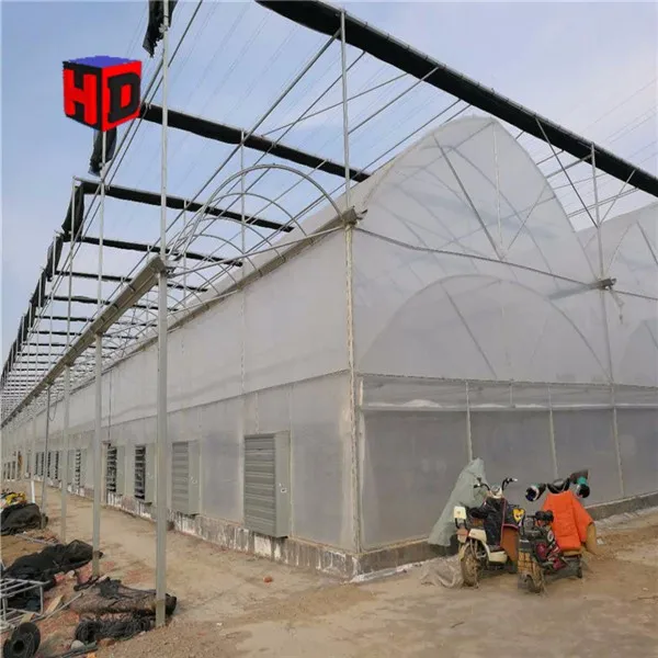 Greenhouse Roofing Material / Pe Greenhouse Film Cover / Polyethylene