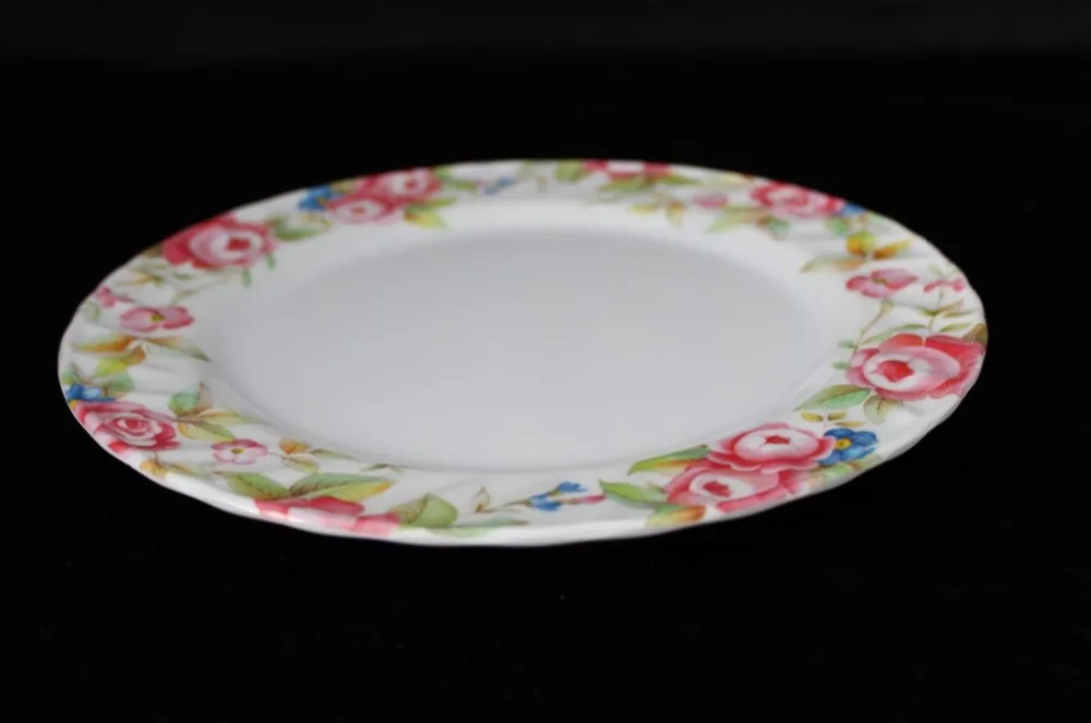 100%melamine sushi plate