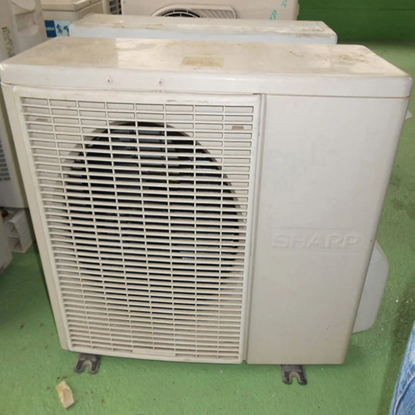 DSCN0795.JPG