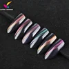 Queen Shining UV/LED 3D cat eye perfect match 5d magnetic Nail gel polish matching