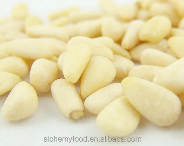 pine nut kernel 1