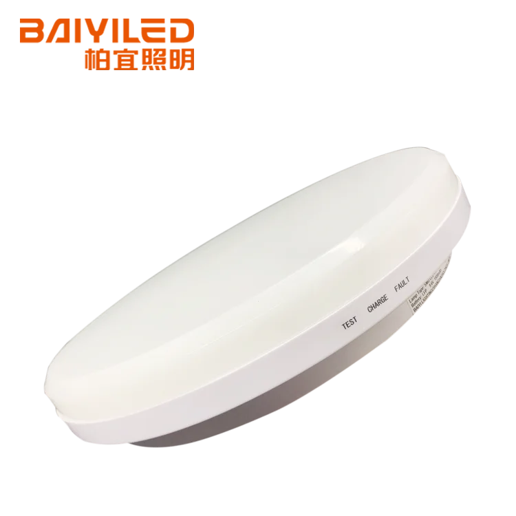 Modern Ceiling/Wall Mounted Emergency Luminaire 24W Ip65 Led Shower Lamp Waterproof Led Ceiling Light