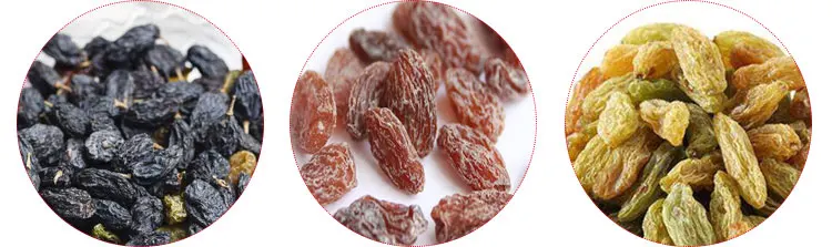 grapes production line (3).jpg