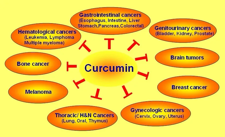 SGS Manufacturer Best Selling Organic Water Soluble Turmeric Curcumin