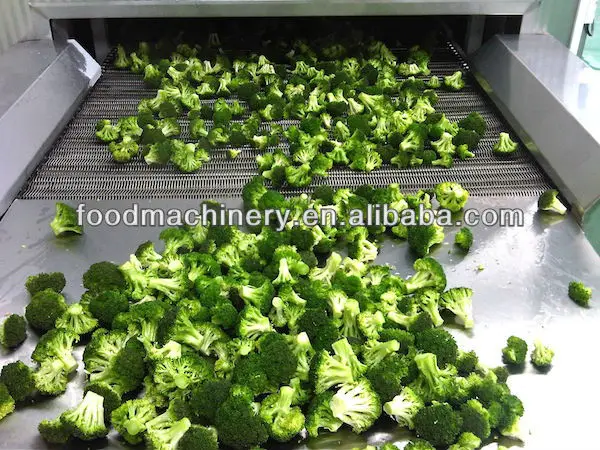 2-2 tunnel blast freezer.jpg