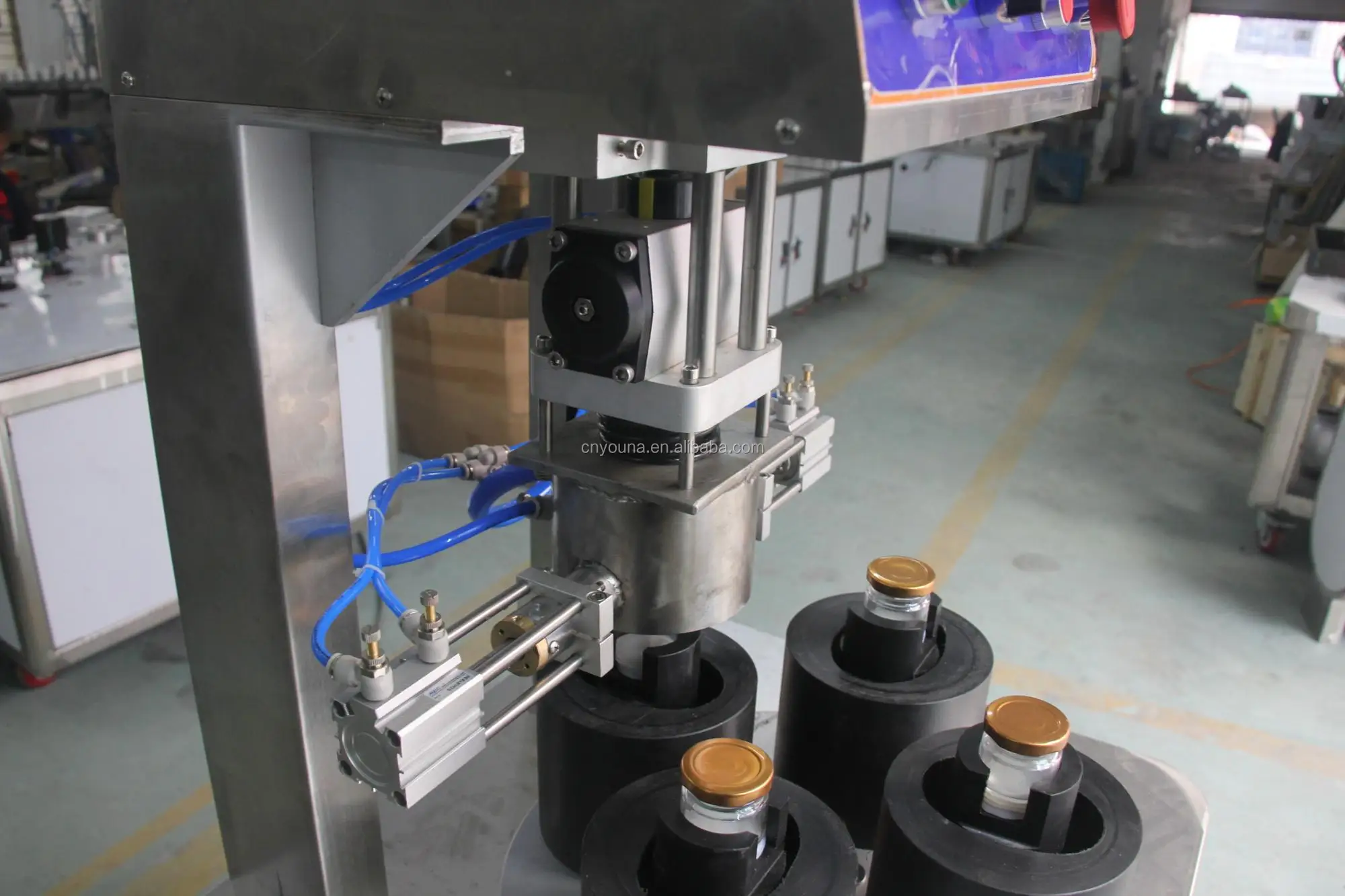 glass bottle vacuum sealer machine for fish/fruit jar, View glass