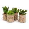 Realistic mini bonsai succulent plants artificial cactus potted