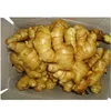 to dubai fresh ginger/ginger exporting countries