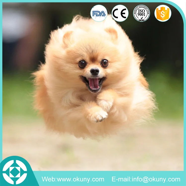 狗便便袋定做印刷