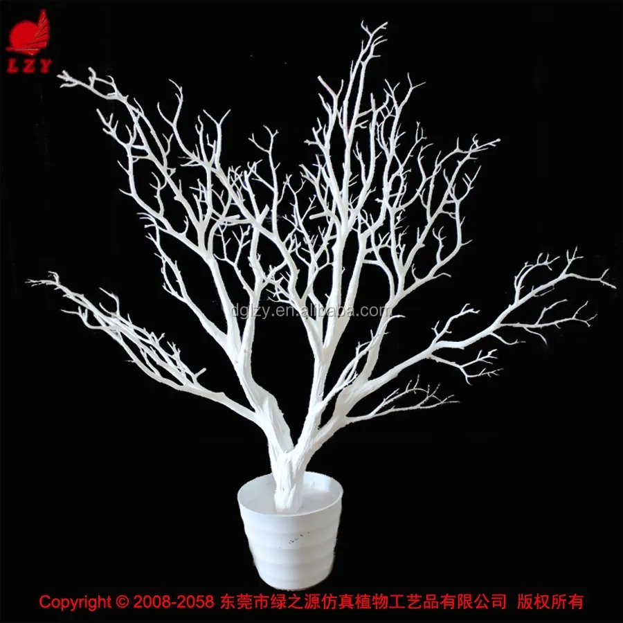 White Manzanita Tree Centerpiece : Manzanita tree images mantr bk black wishing