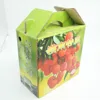Custom Print Strong 5 Layer Corrugated Fruit Cardboard Boxes For Sale