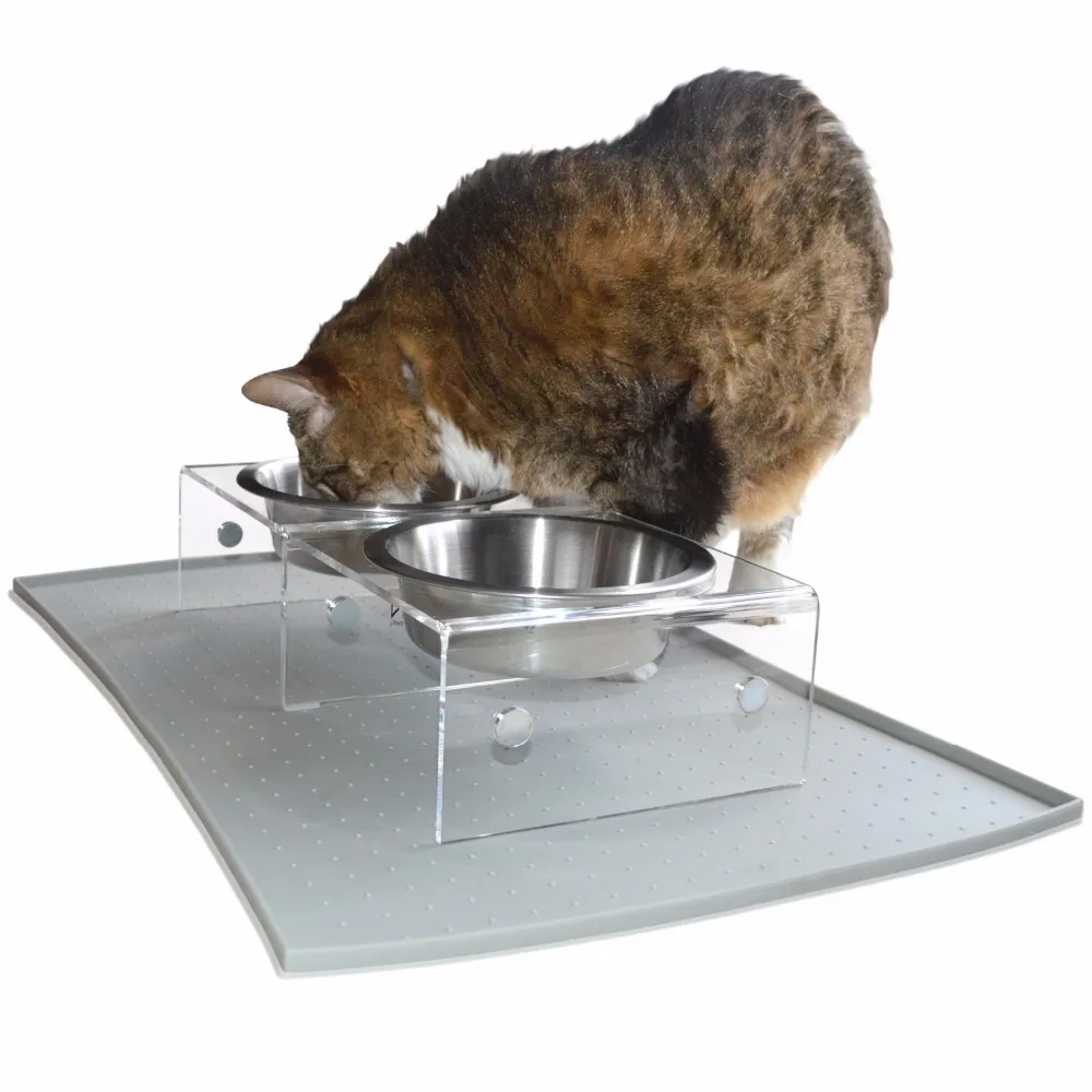 Easy To Clean Innovative Single Pod Clear Acrylic Pet Feeder For Dogs