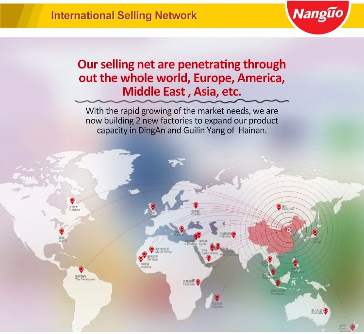 March Expo Chinese coconut cracker sweet biscuit crispy coconut biscuit COOKIEs