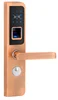 Z Wave EU Standard high quality smart lock for interiord combination card unlocking lock