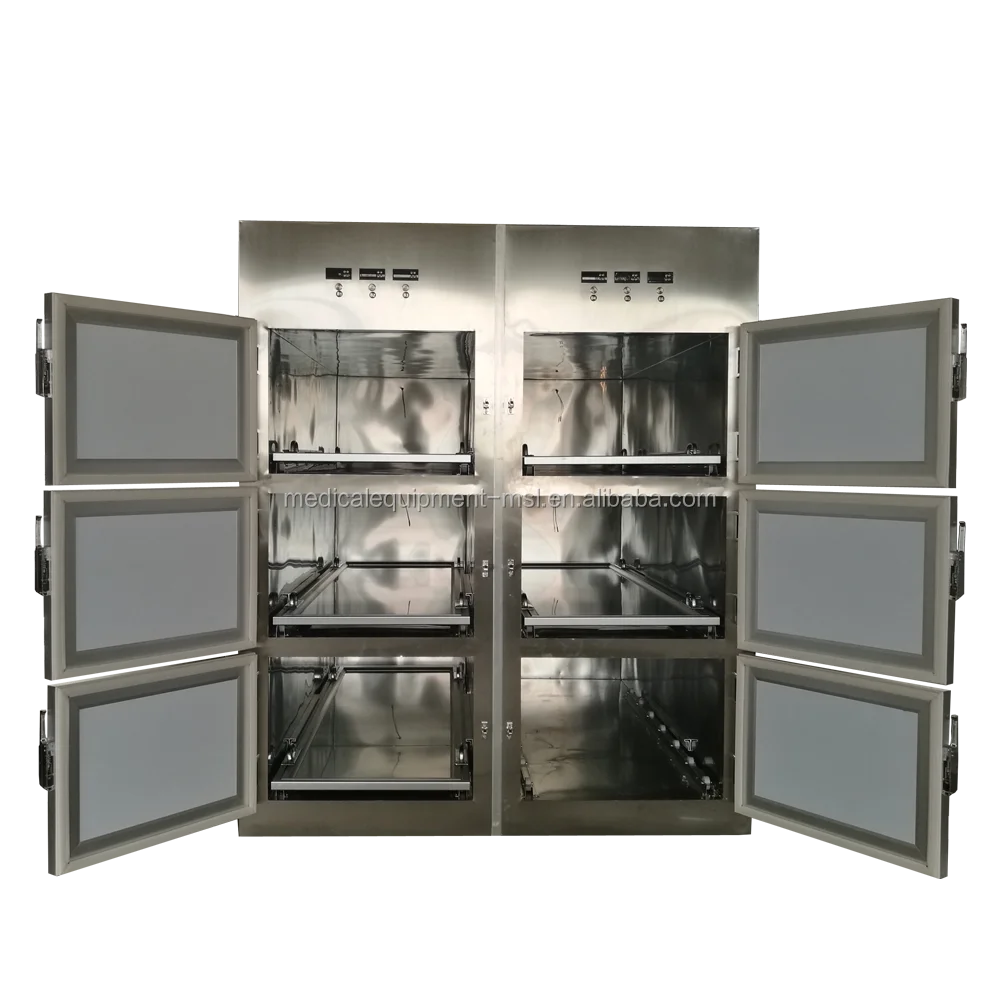 6 bodies morgue  (1).png