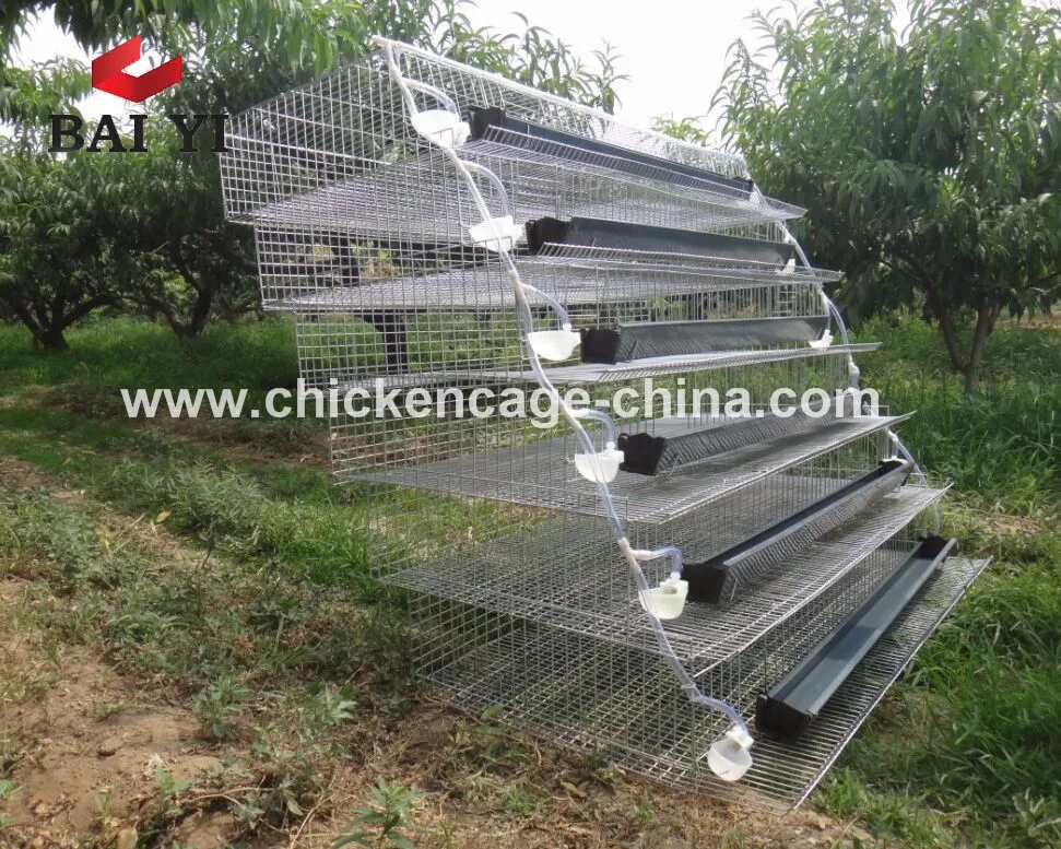 Industrial Quail Wire Cages For 6 Tier 400 Quails Buy Quail Wire Cage