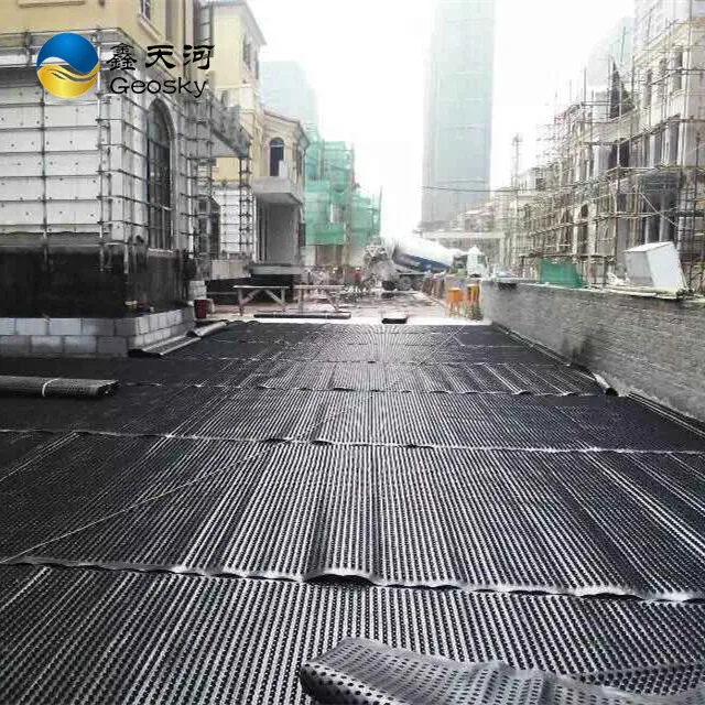 Geosky Drainage board60