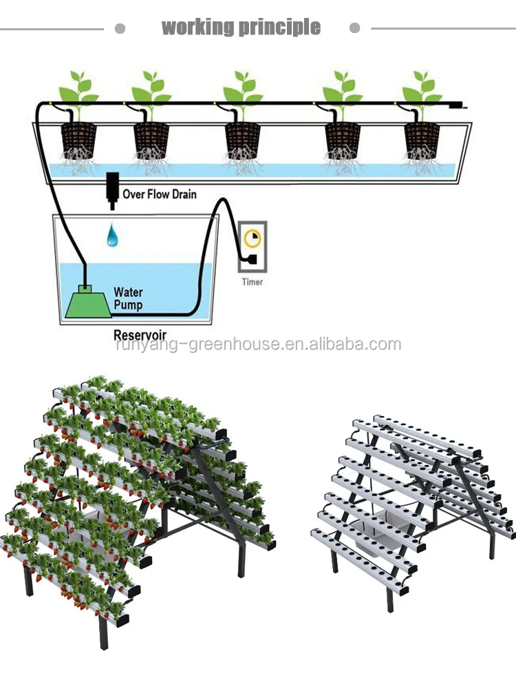 Commercial Hydroponic Growing Systems Aquaponics Systems