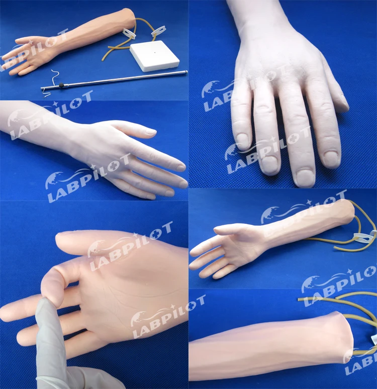Hot Venipuncture Arm Simulator,Iv Injection Teaching Model - Buy ...