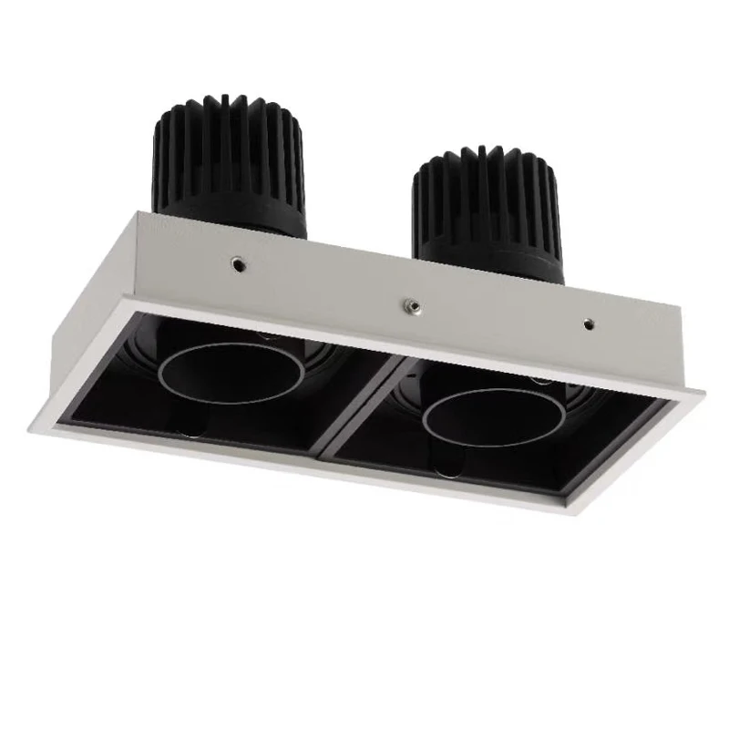 double head led downlight.jpg