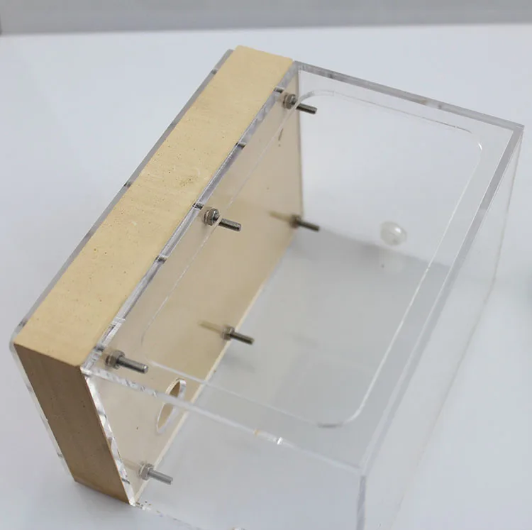 亚克力蚂蚁屋巢喂养蚂蚁农场巢爬行动物笼子石膏板基地