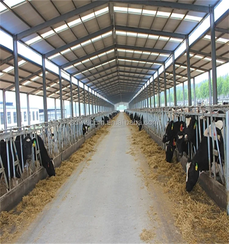 wiskind dairy industry steel structure shed for cow breeding