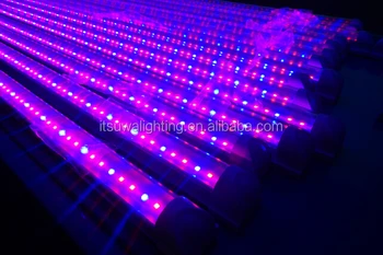 Energy Saving T8 Led Grow Light Solar Cupid Energy Saving T8 Led Grow Light Solar Cupid Manufacturer