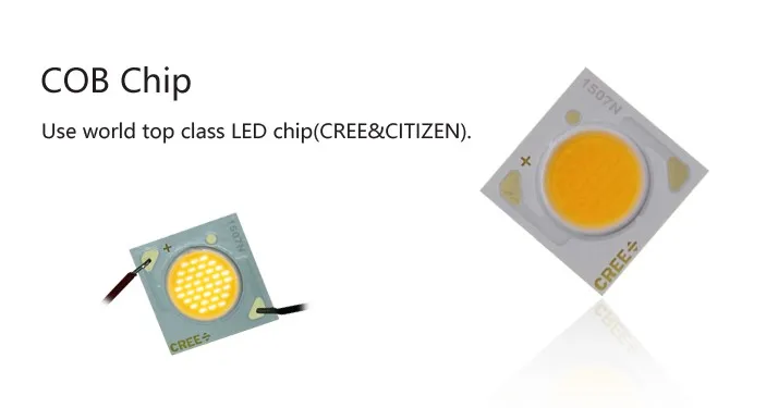 COB chip.jpg