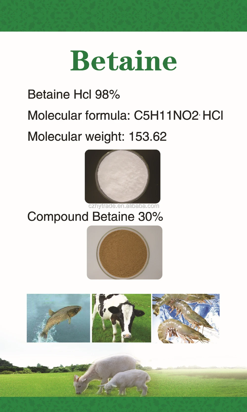 Compound Betaine 30 Copper Sulphate For Poultry Feed Additive Buy