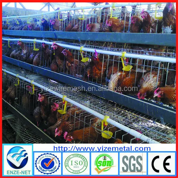 Chicken Layer Cage For Sale In Philippines - Buy Chicken Layer Cage 