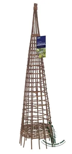 willow obelisk 11