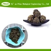 Black maca powder maca root powder Black Maca Extract 10:1 in bulk