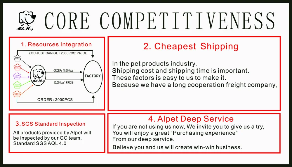 Core competitiveness