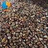 natural river polished stone red pebble