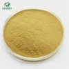 Factory Supply 80% 90% 95% 98% Pomegranate Powder Ellagic Acid Pomegranate Extract