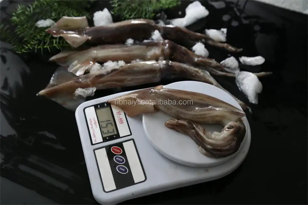 squid (2).JPG