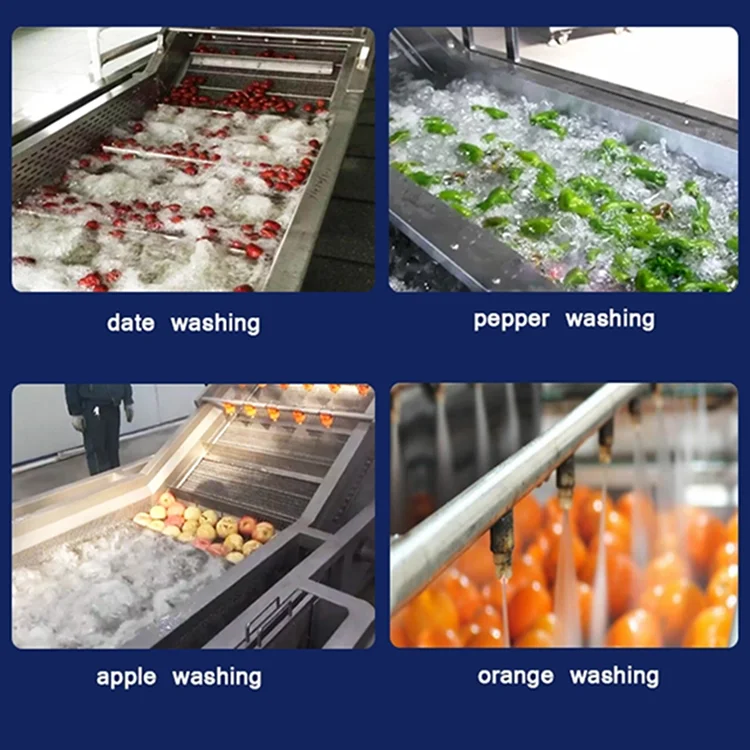 1000kg/h Fruit Washer Vegetable Bubble Washing Machine For Sale Buy
